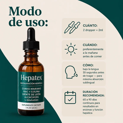 Hepatex | Restauración Hepática