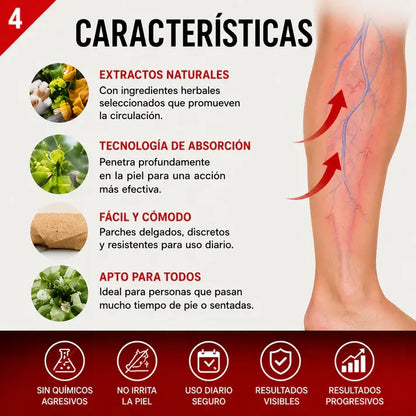 Parches Varices